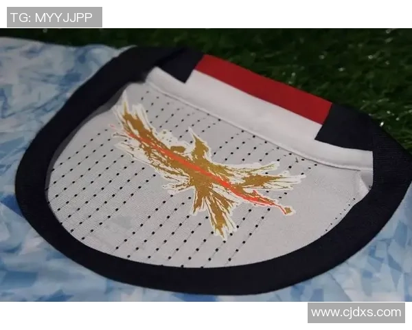 如何正确清洗足球明星水洗短袖以保持其色彩和质感