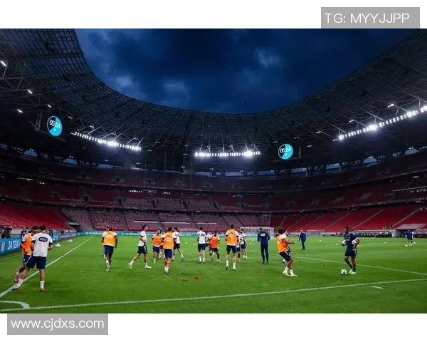 足球明星风采全景介绍及其对足球运动的影响分析