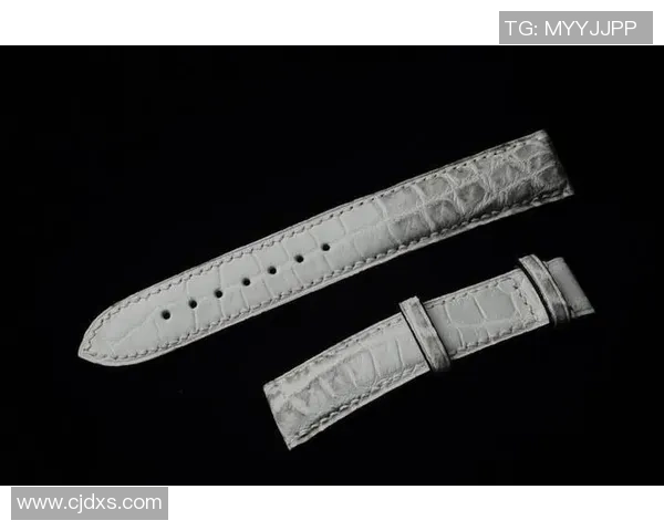 从零起步掌握篮球力量训练的全面指南与实用技巧