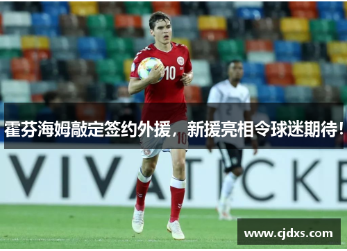 霍芬海姆敲定签约外援，新援亮相令球迷期待！