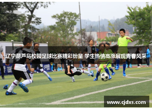 辽宁葫芦岛校园足球比赛精彩纷呈 学生热情高涨展现青春风采