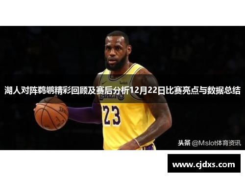 湖人对阵鹈鹕精彩回顾及赛后分析12月22日比赛亮点与数据总结