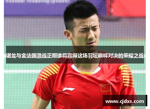 谌龙与金法国激战正酣谁将赢得这场羽坛巅峰对决的荣耀之战